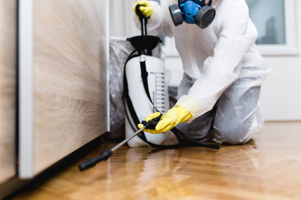 Best Best Pest Control Companies  in Jnstown, OH