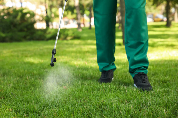 Best Pest Prevention Services  in Jnstown, OH