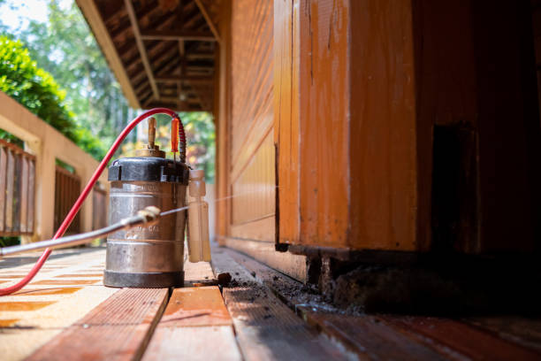 Best Best Pest Control Companies  in Jnstown, OH